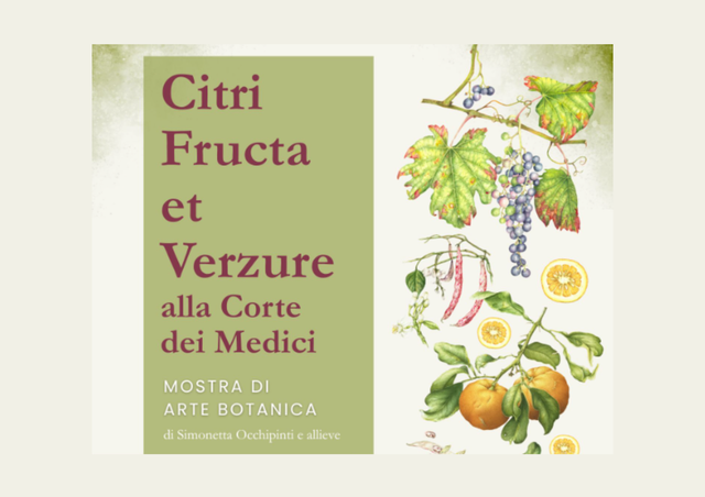 Mostra arte acquerelli