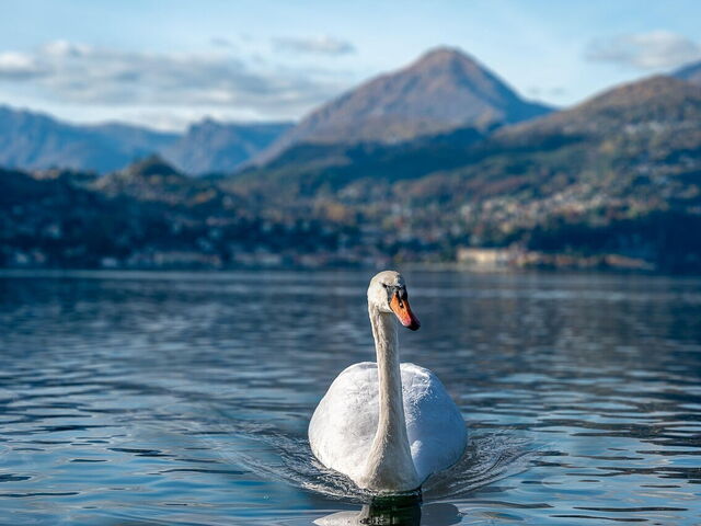 Lake