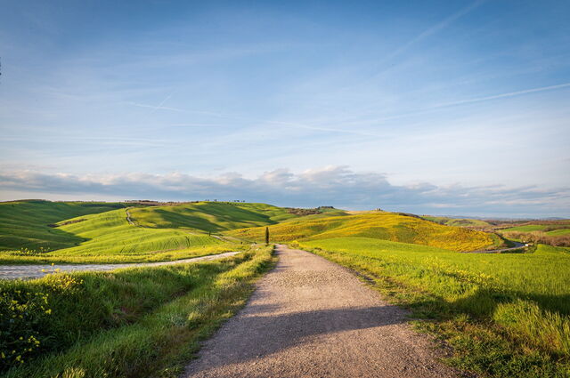 Tuscan landscape