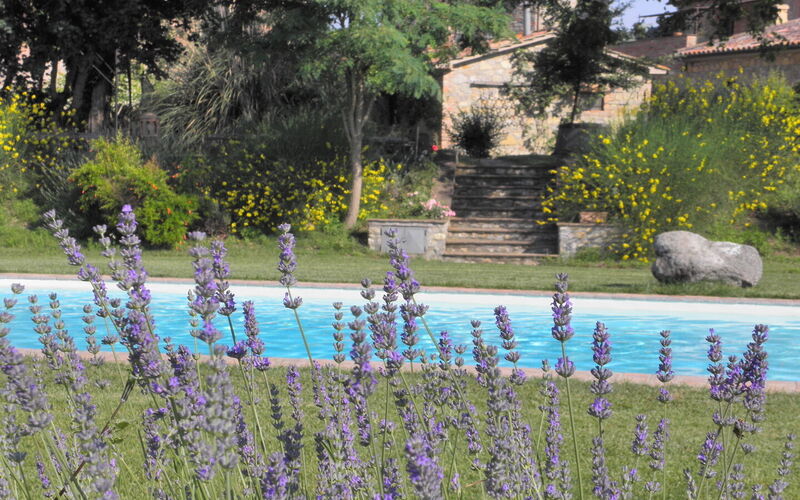 Borgo Santa Maria, Private Pool, Perugia: Autunno, Estate, Piscina, Primavera