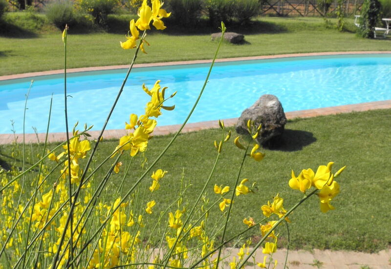Borgo Santa Maria, Private Pool, Perugia: Autunno, Estate, Piscina, Primavera