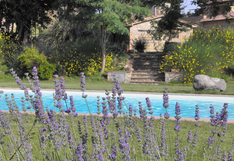 Borgo Santa Maria, Private Pool, Perugia: Autunno, Estate, Piscina, Primavera