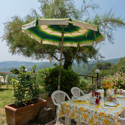 Casa Ceneruzzi: Außen, Draussen, Garten