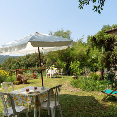 Casa Ceneruzzi: Außen, Draussen, Garten