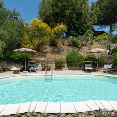 Casa Ceneruzzi: Außen, Draussen, Schwimmbad