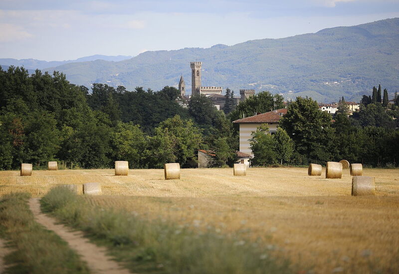 Villa Agata: Outdoor