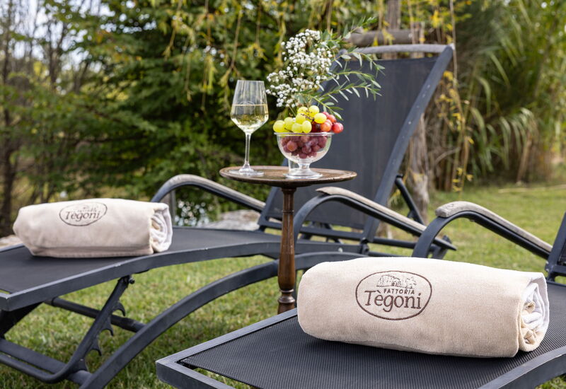 Villa Airone Tegoni, Pool, Radicondoli: Autumn, Pool, Spring, Summer