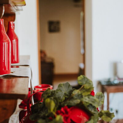Agriturismo la Papessa - Unterkunft:&nbsp;Azalea Ap. 4: agriturismo-la-papessa-chianti-san-donato-farmhouse-azalea-living-room