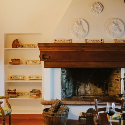 Agriturismo la Papessa - Unterkunft:&nbsp;Camelia Ap. 8: agriturismo-la-papessa-chianti-san-donato-farmhouse-camelia-diningroom