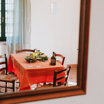 Agriturismo la Papessa - Accommodation:&nbsp;Gardenia Ap. 5: agriturismo-la-papessa-chianti-san-donato-farmhouse-gardenia-living-room-diningroom