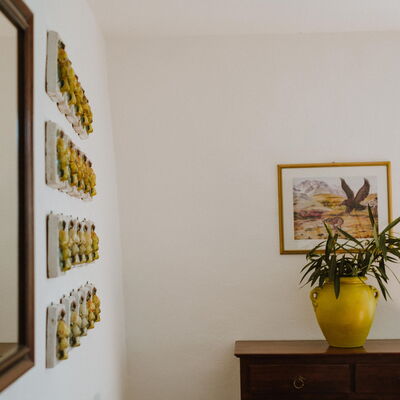 Agriturismo la Papessa - Accommodation:&nbsp;Gardenia Ap. 5: agriturismo-la-papessa-chianti-san-donato-farmhouse-gardenia-painting