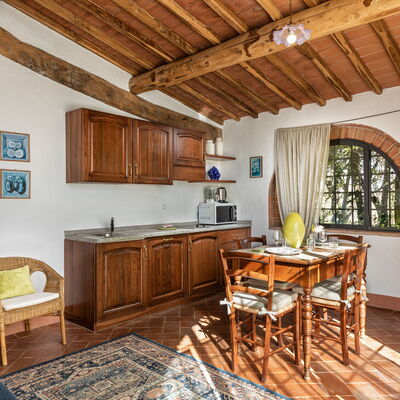 Agriturismo la Papessa - Unterkunft:&nbsp;Ibisco Ap. 2: agriturismo-la-papessa-chianti-san-donato-farmhouse-ibisco-living-room