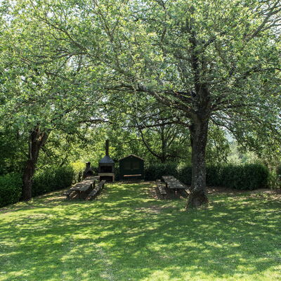 Agriturismo la Papessa: agriturismo-la-papessa-chianti-san-donato-farmhouse-tree