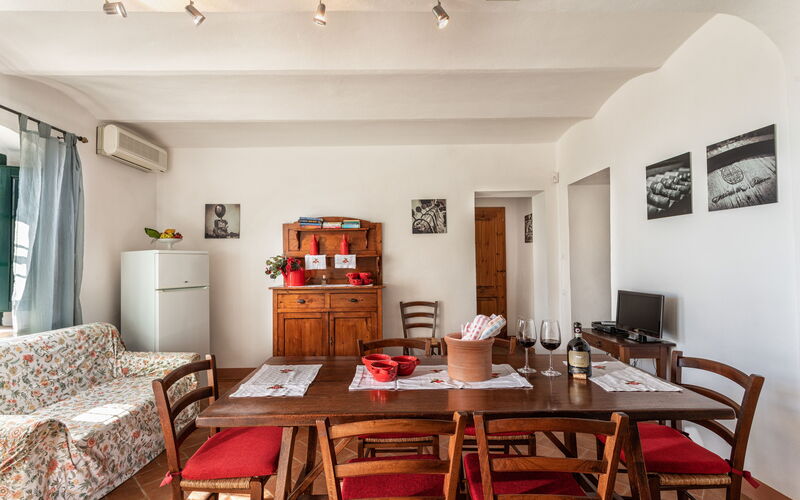 Agriturismo la Papessa - Unterkunft:&nbsp;Azalea Ap. 4: agriturismo-la-papessa-chianti-san-donato-farmhouse-azalea-living-room