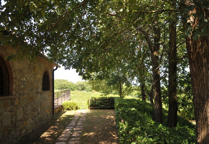 Agriturismo La Papessa