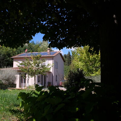 Villa Montepulciano Vineyard: Autumn, Garden, Spring, Summer