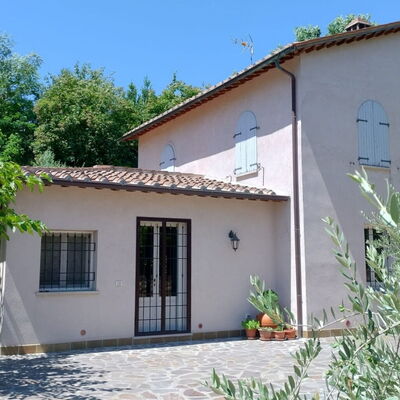 Villa Montepulciano Vineyard