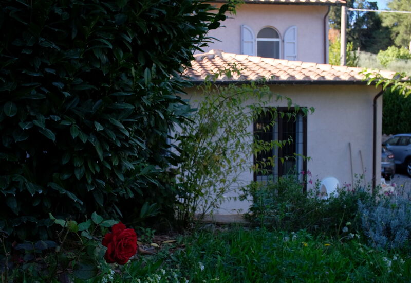 Villa Montepulciano Vineyard and Pool Retreat: Autumn, Garden, Spring, Summer