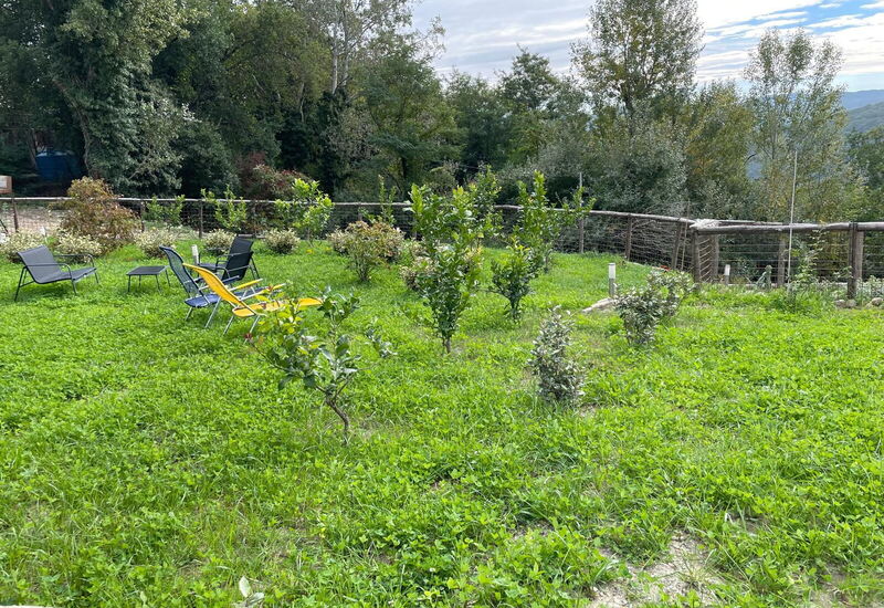 Borgo Antico, Pool, Barberino del Mugello: Autumn, Garden, Spring, Summer
