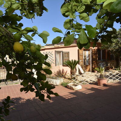 Ranch Salomonello: Autunno, Estate, Giardino, Primavera
