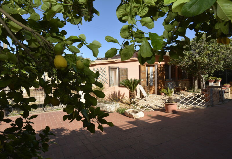 Ranch Salomonello: Autunno, Estate, Giardino, Primavera