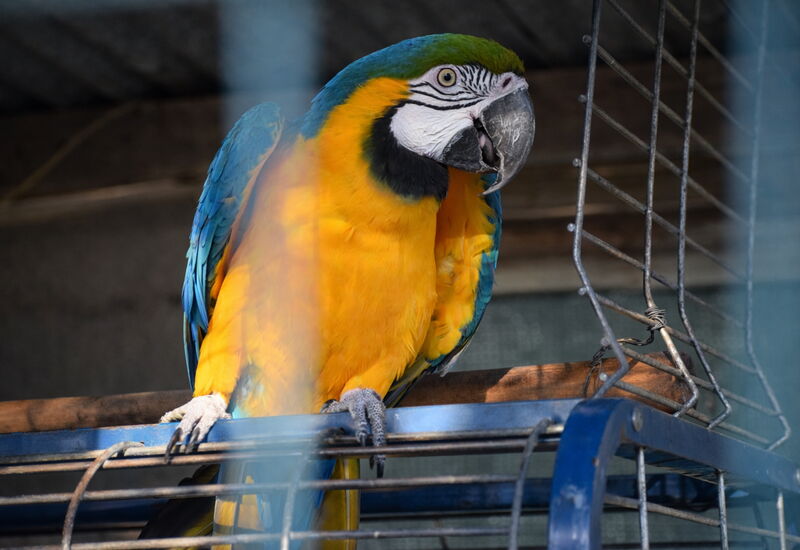 Ranch Salomonello: all'aperto, Autunno, Estate, Giardino, Primavera