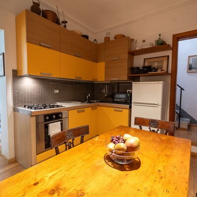 Casa dello Scrittore: Autunno, Cucina, Estate, Primavera