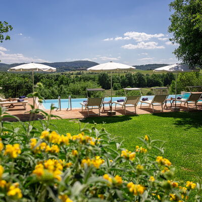 Villa Santa Barbara, Pool and Relax, Siena Country: Autumn, Garden, Pool, Spring, Summer