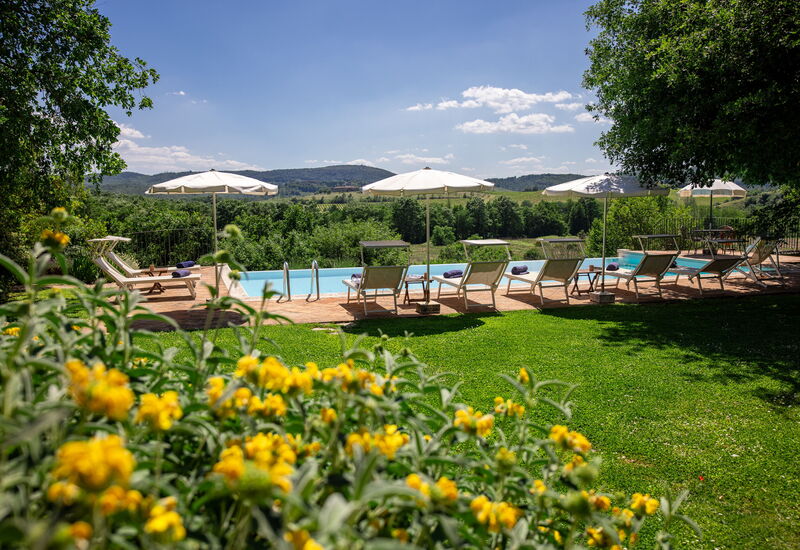 Villa Santa Barbara, Pool and Relax, Siena Country: Autunno, Estate, Giardino, Piscina, Primavera