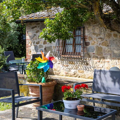 Podere Il Pozzangone, Lucignano: Autunno, Estate, Giardino, Primavera