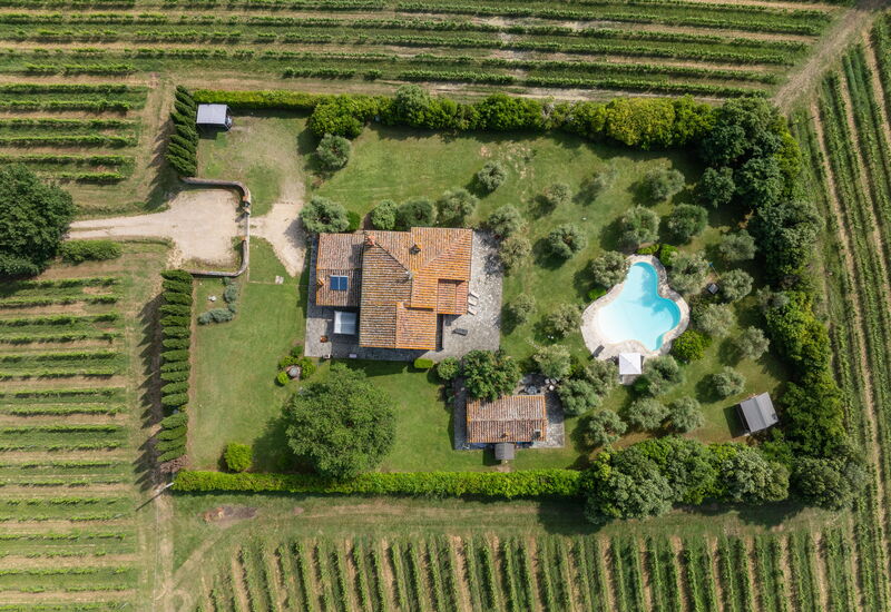 Podere Il Pozzangone, Lucignano