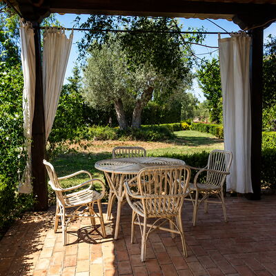 Casa Goel: Autumn, Balcony / Terrace / Patio, Spring, Summer