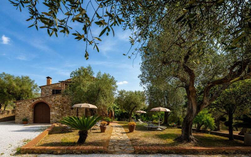 Casale delle Lupe, Campiglia Marittima: Autunno, Estate, Giardino, Primavera