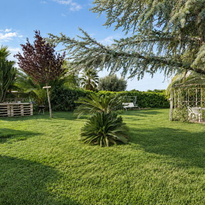 Il Cigno Reale White: Autumn, Garden, Spring, Summer