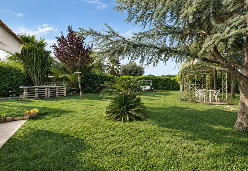 Il Cigno Reale White: Autumn, Garden, Spring, Summer