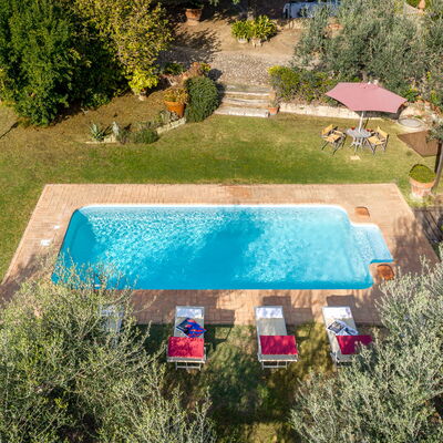 Podere Selva: Autunno, Estate, Piscina, Primavera
