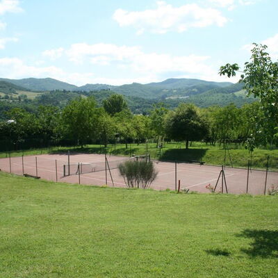 Villa Gayo: Activities