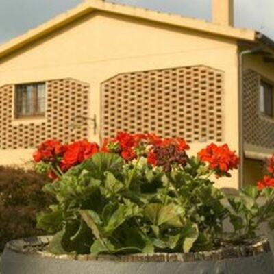 Agriturismo Cabbiavoli - Accommodation:&nbsp;Fienile Giallo - Albicocco: agriturismo-cabbiavoli-chianti-multiproperty-fienile-giallo-albicocco-external