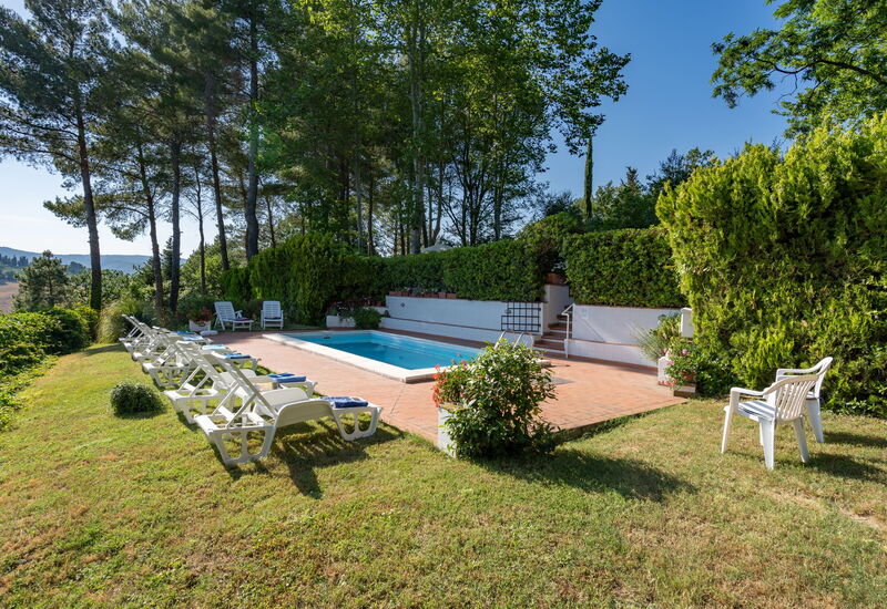 Villa Campiglia: Pool