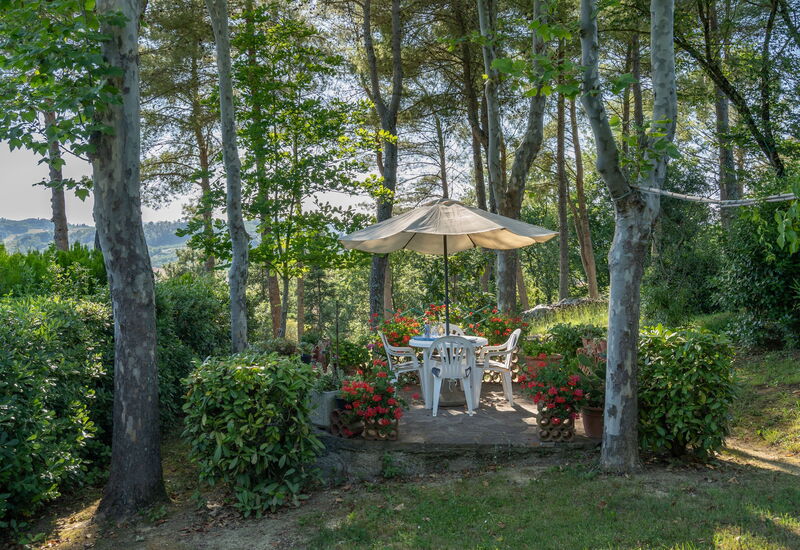 Villa Campiglia: Garden