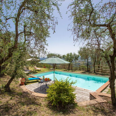 Villa Dante: Giardino, Piscina