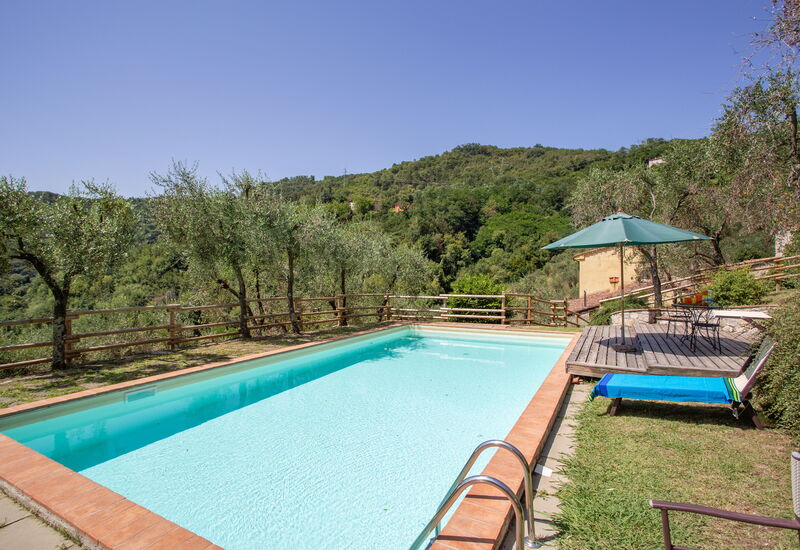 Villa Dante: Pool
