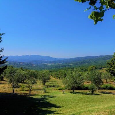 Villa San Martino: Giardino