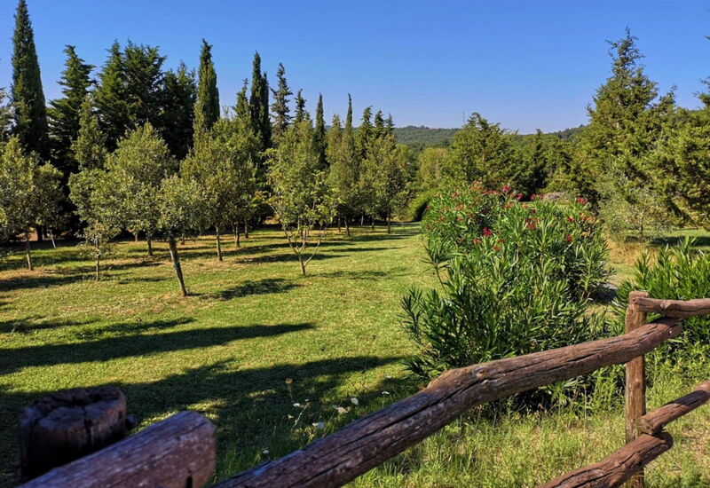 Villa San Martino: Garden