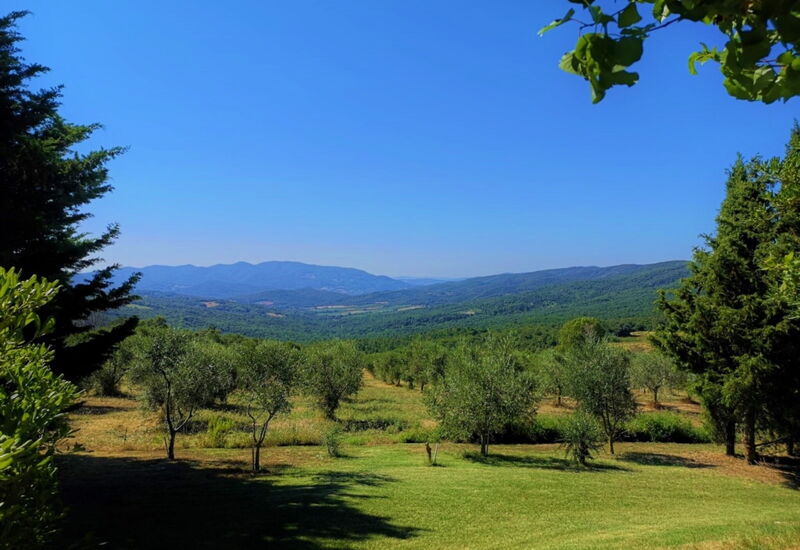 Villa San Martino: Garden