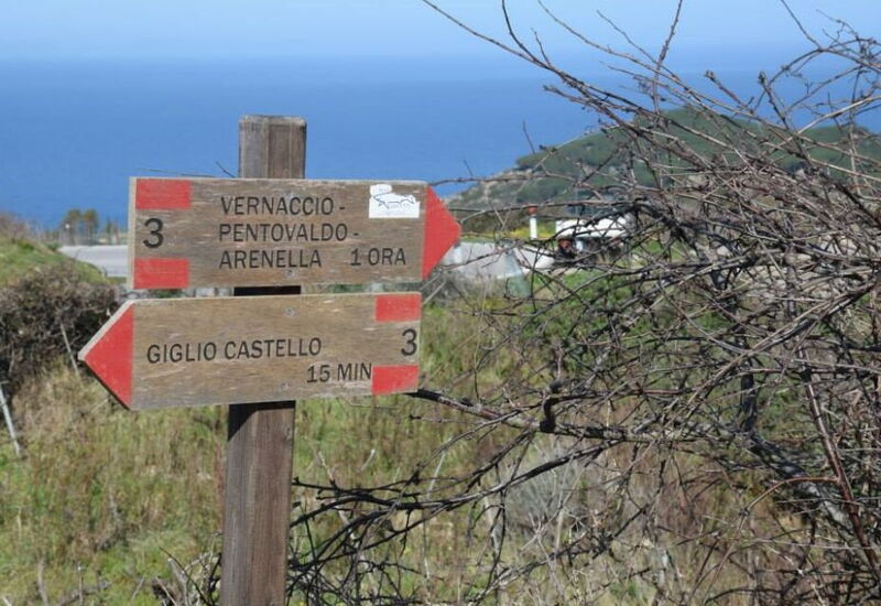 Al Castello Da Alice: Attività