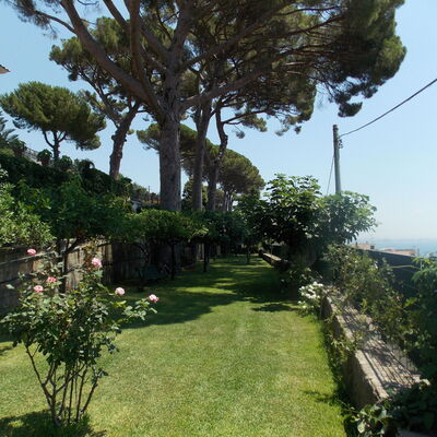 Casa Sorvillo: Garten