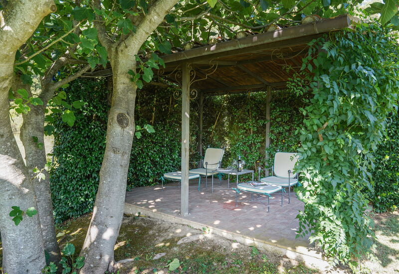 Vista San Lorenzo: Garden