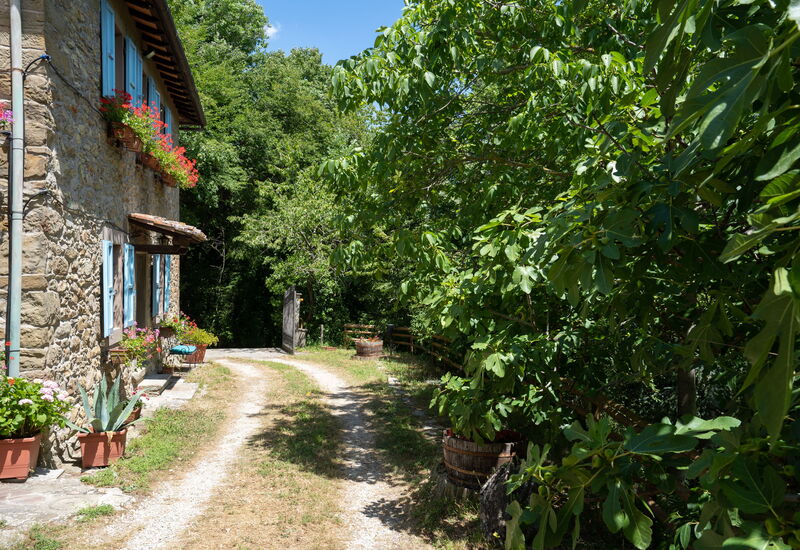 Podere La Vigna: Main Entrance
