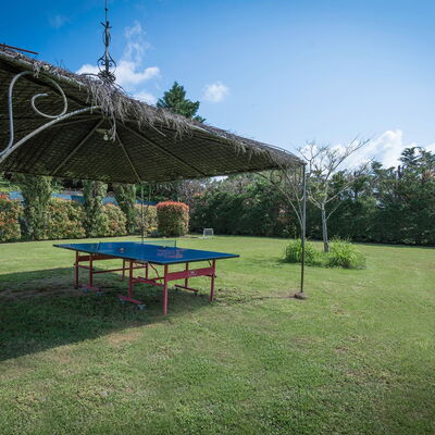 Mulino Al Suono - Badia Agnano, Toscana: Attività, Autunno, Caratteristiche, Estate, Esterni, Giardino, Primavera